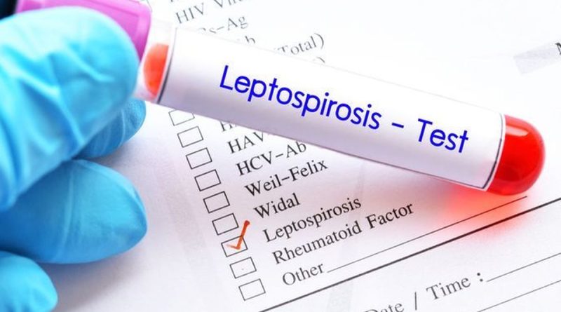 leptospirosis-ancam-yogyakarta-enam-tewas-dari-19-kasus-terlapor