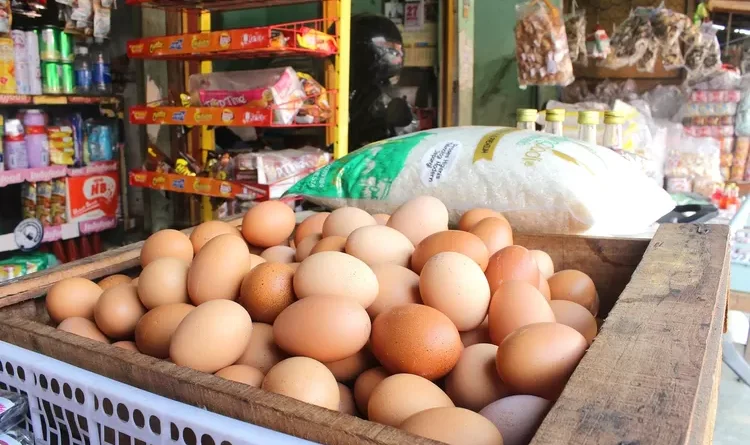 Peningkatan Harga Bahan Pokok Bagaimana Warga Indonesia Menghadapinya